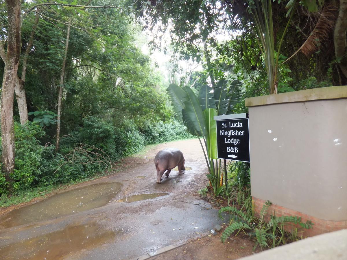 St Lucia Kingfisher Lodge 外观 照片